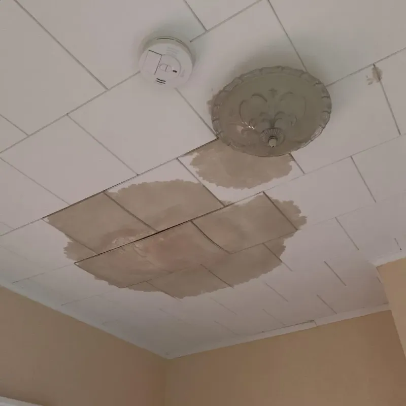 Ceiling Water Damage Repair in McLeansboro, IL