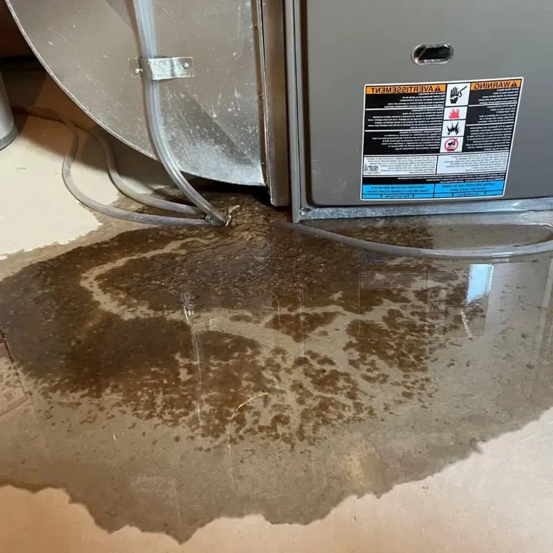 Pipe Burst and Leak Restoration in McLeansboro, IL