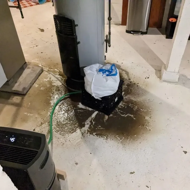 Sewage Backup Cleanup Service in McLeansboro, IL